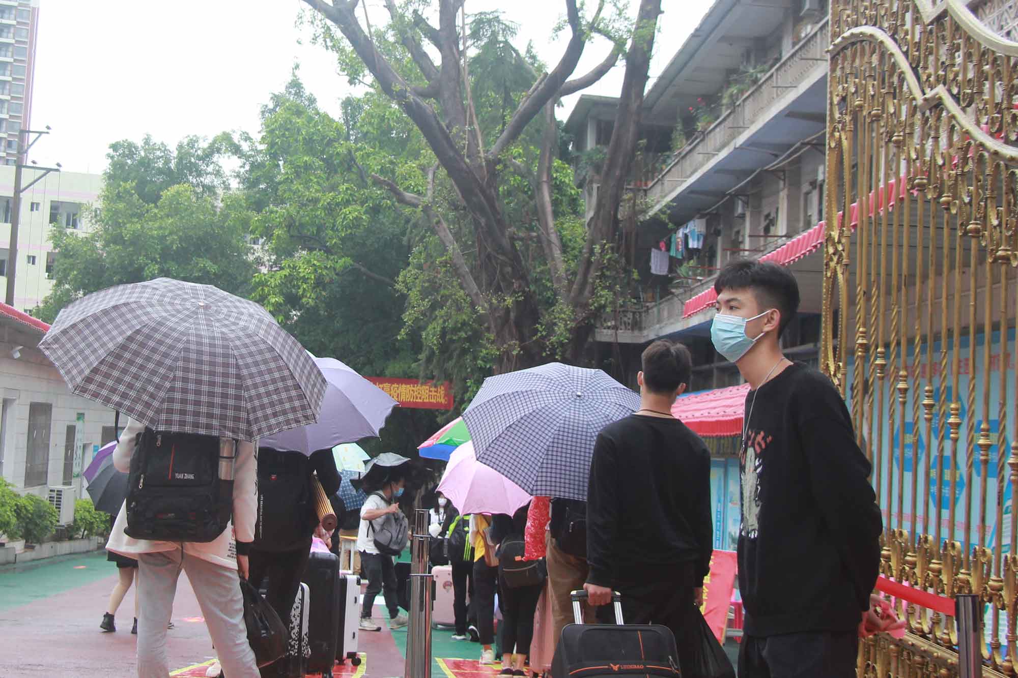 第一批學(xué)生返校記——春風(fēng)十里，不如校園有你！